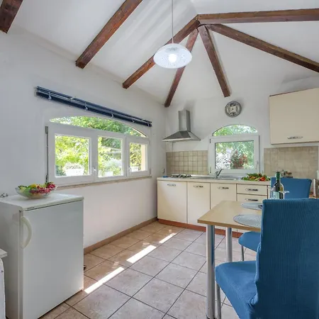 Lex - - Istria * 로비니