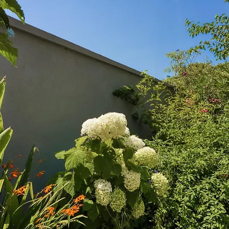 Lex - - Istria 로비니