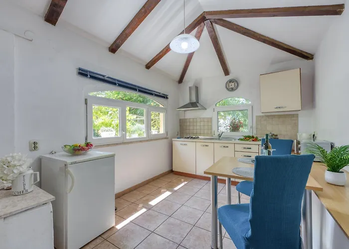 Lex - - Istria * 로비니