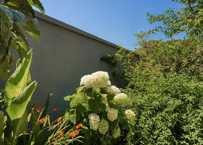 Lex - - Istria 로비니